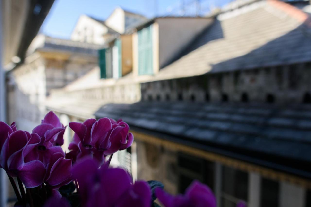 B&B Piccoli Leoni Gênes Extérieur photo